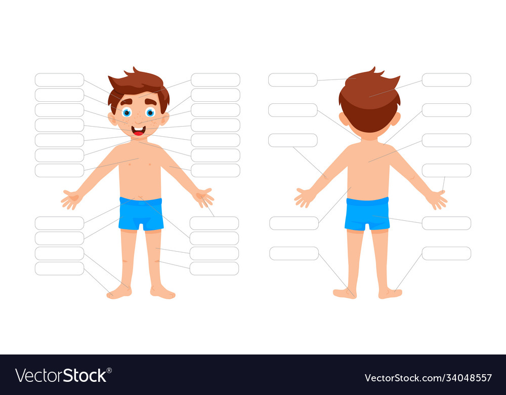 My body poster with cute kid boy shows his body Vector Image