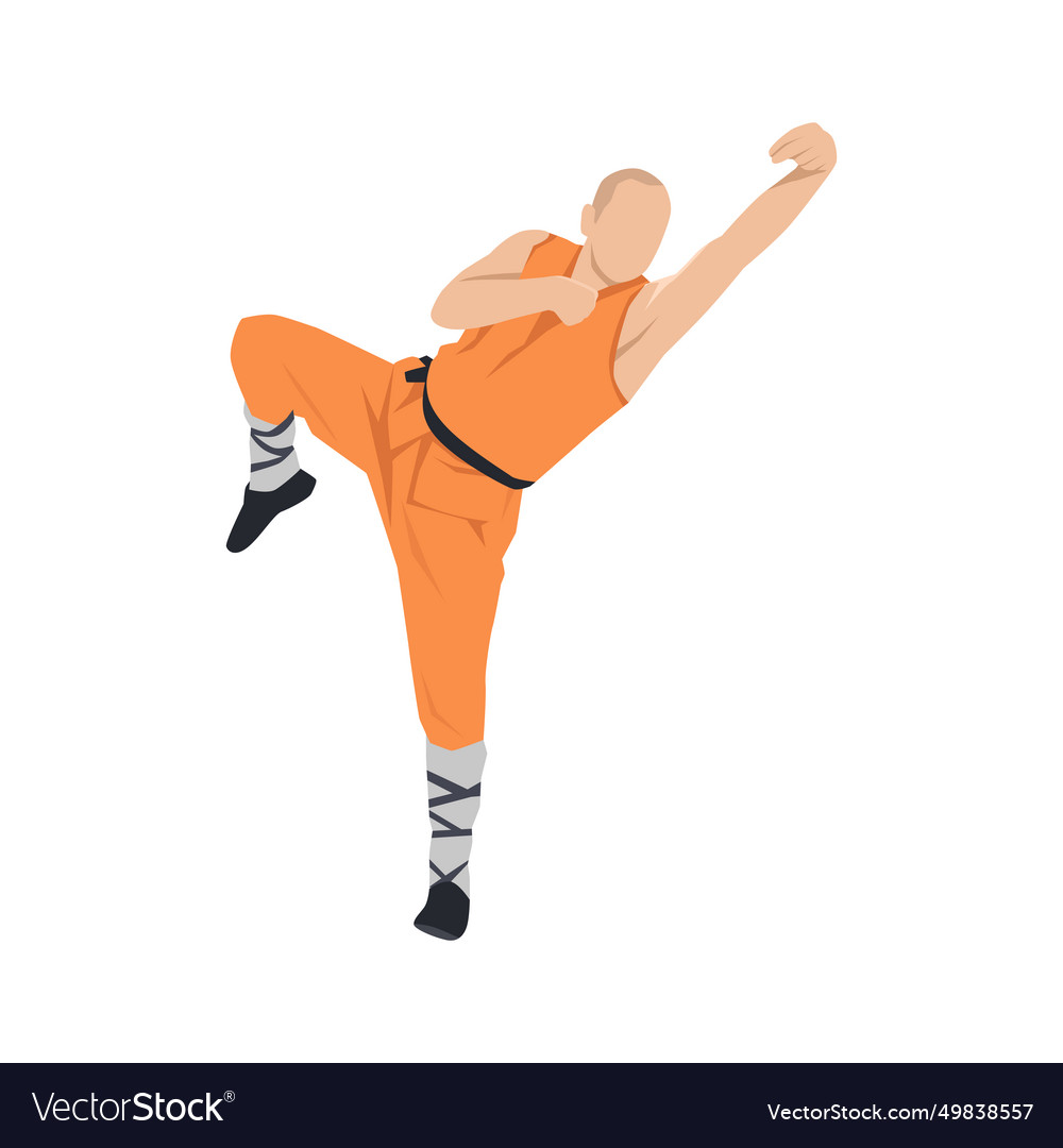 Young man doing kung fu fighting exercise Vector Image