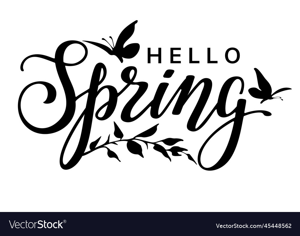 Hello spring black lettering phrase with leaves Vector Image