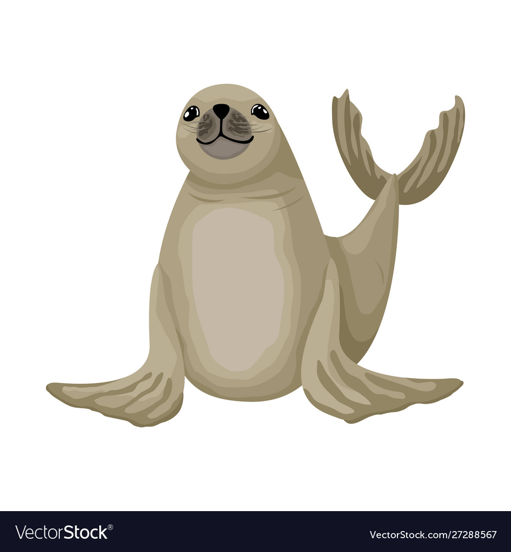 Cheerful little fur seal isolated animal Vector Image