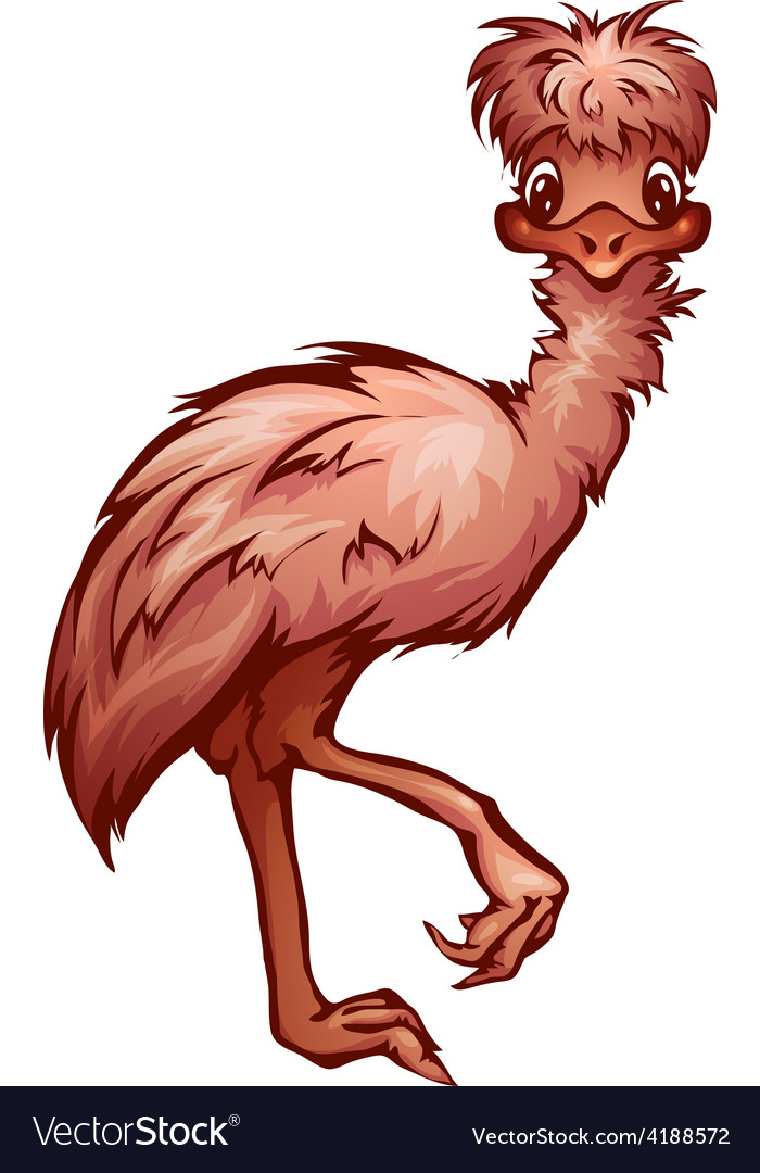 Cartoon cute emu Royalty Free Vector Image - VectorStock Cartoon cute emu Royalty Free Vector Image - VectorStock