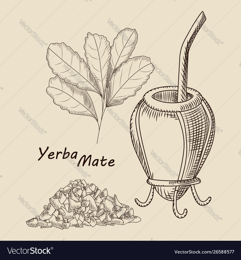 Concept calabash and bombilla for yerba mate