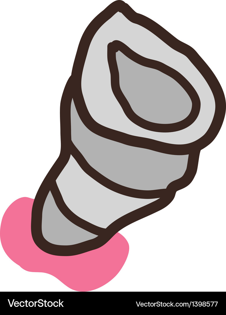 Icon conch Royalty Free Vector Image - VectorStock