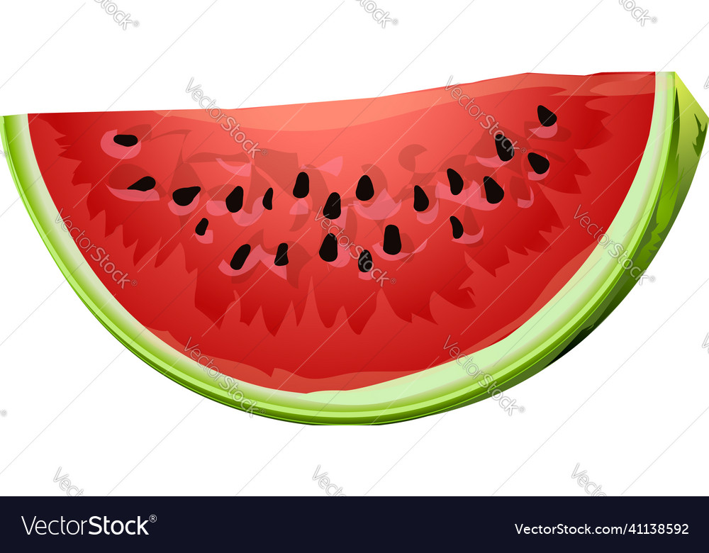 Fresh watermelon piece icon cartoon summer Vector Image