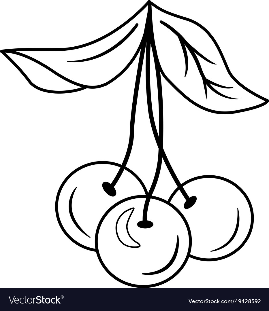 Drei Kirschen auf einem Stamm für ein Malbuch vector image Drei Kirschen auf einem Stamm für ein Malbuch