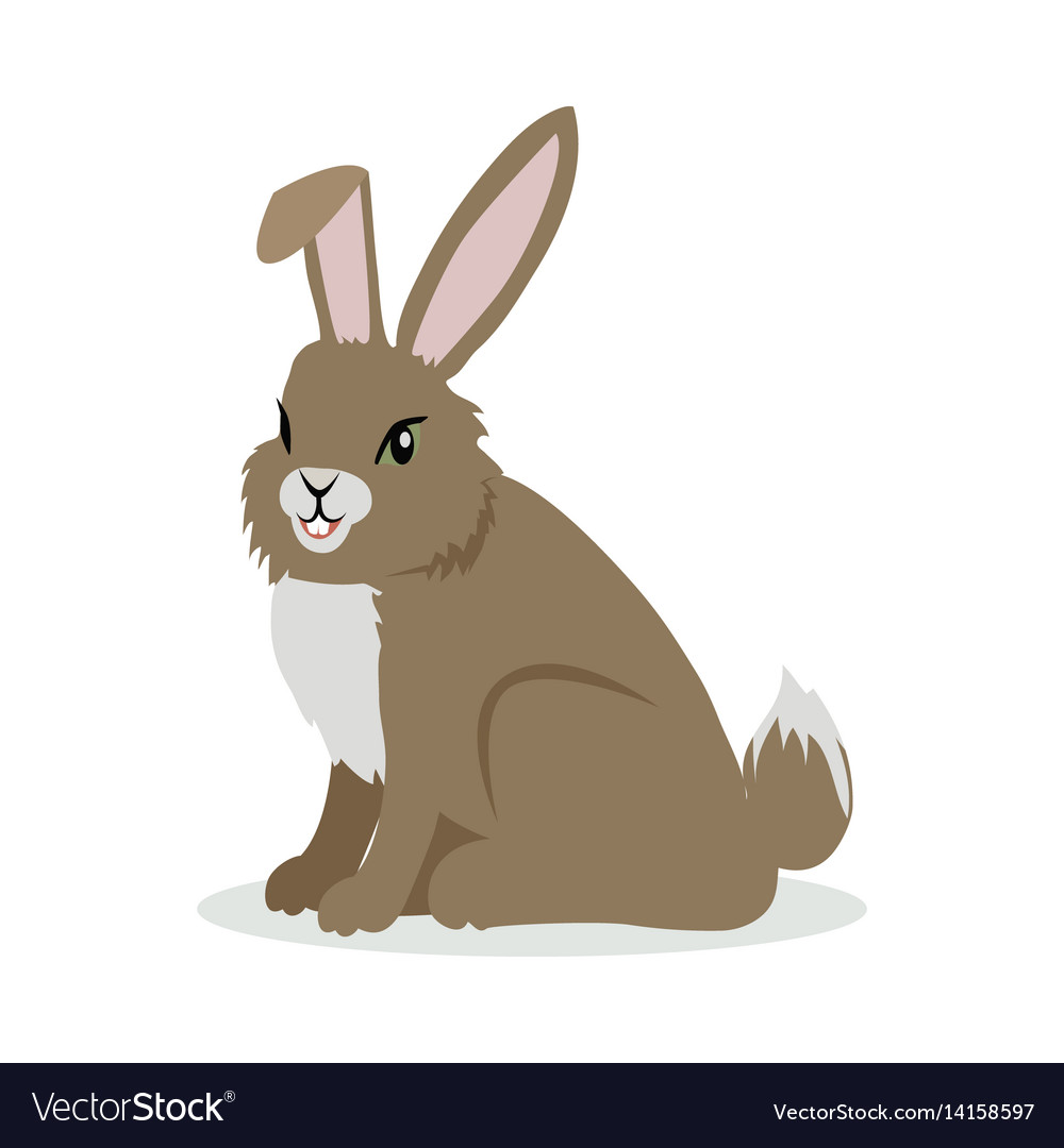 Hare cartoon in flat design Royalty Free Vector Image Hare cartoon in flat design Royalty Free Vector Image