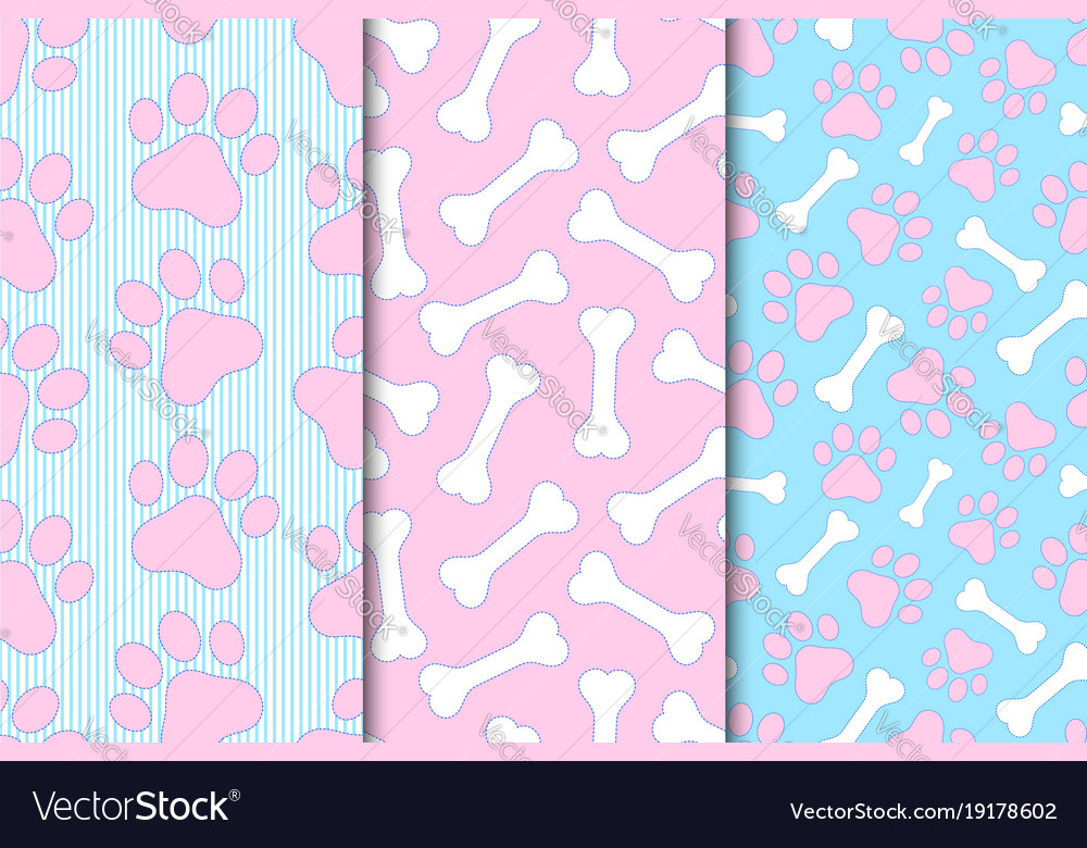 Animal Paw & Bone Patterns