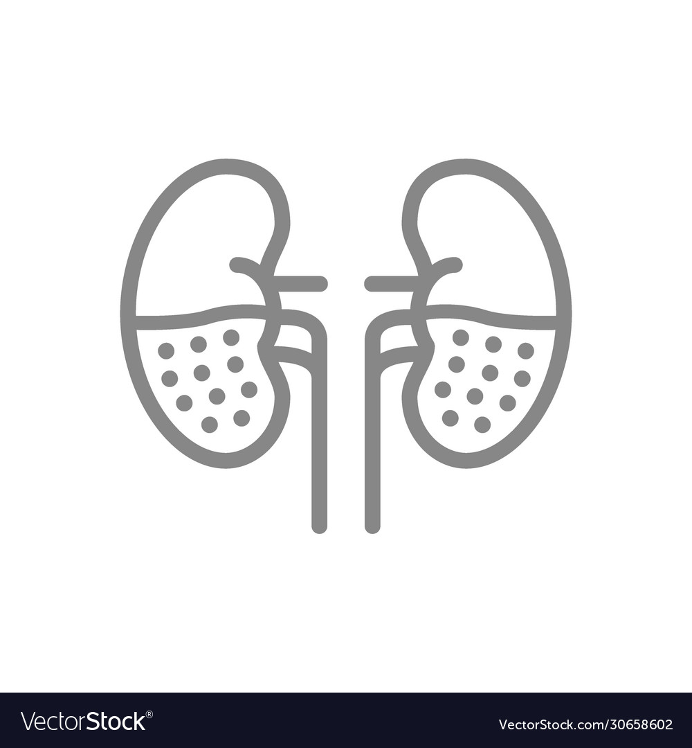 Chronic kidney disease line icon human organ Vector Image