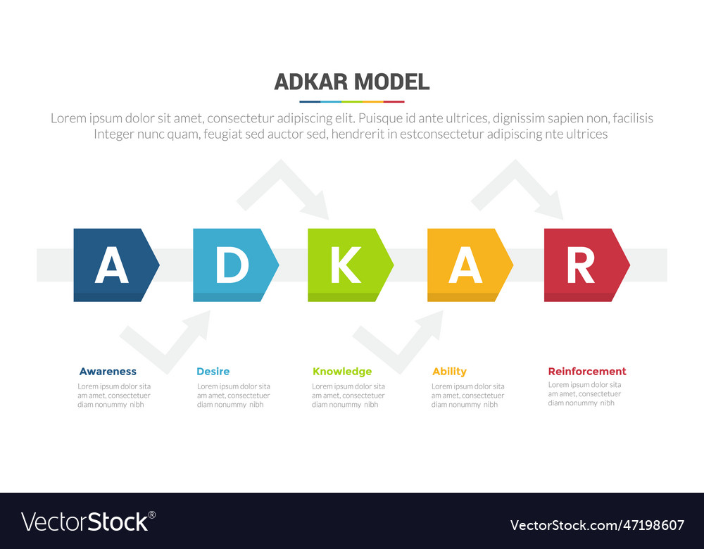 Adkar change management model stage infographics Vector Image