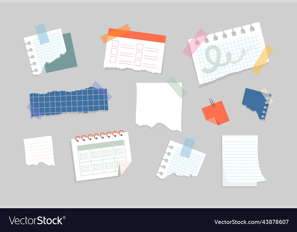 Notebook Paper Collection