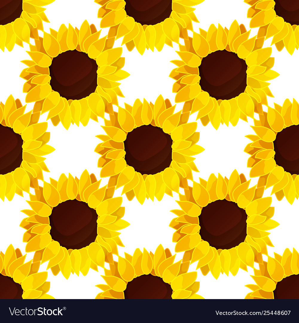 Sunflower flower pattern