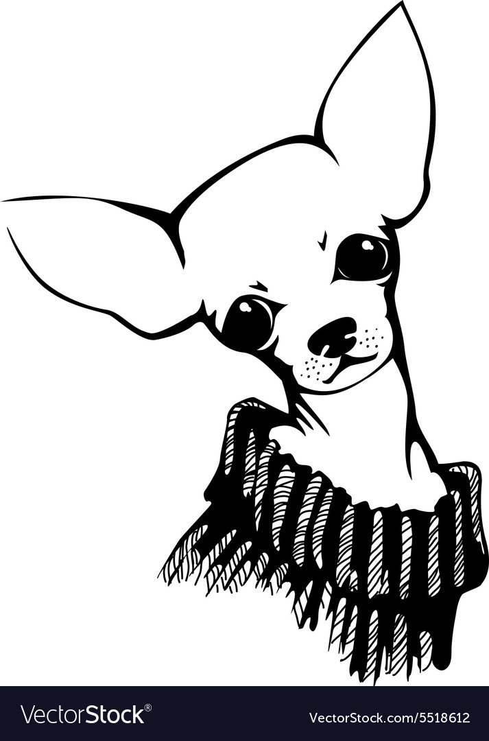 Chihuahua dog Royalty Free Vector Image - VectorStock