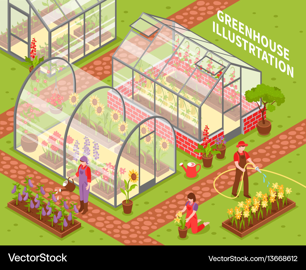 Colored greenhouse composition Royalty Free Vector Image