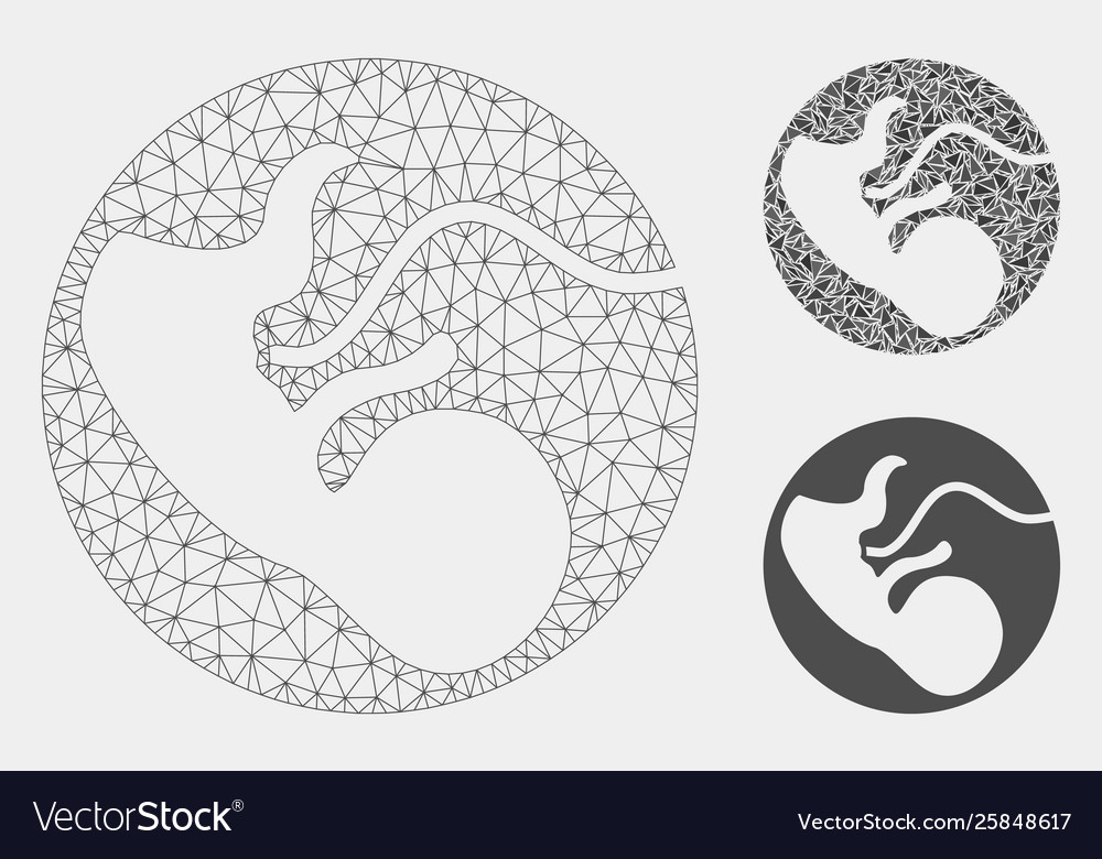 Embryo mesh network model and triangle