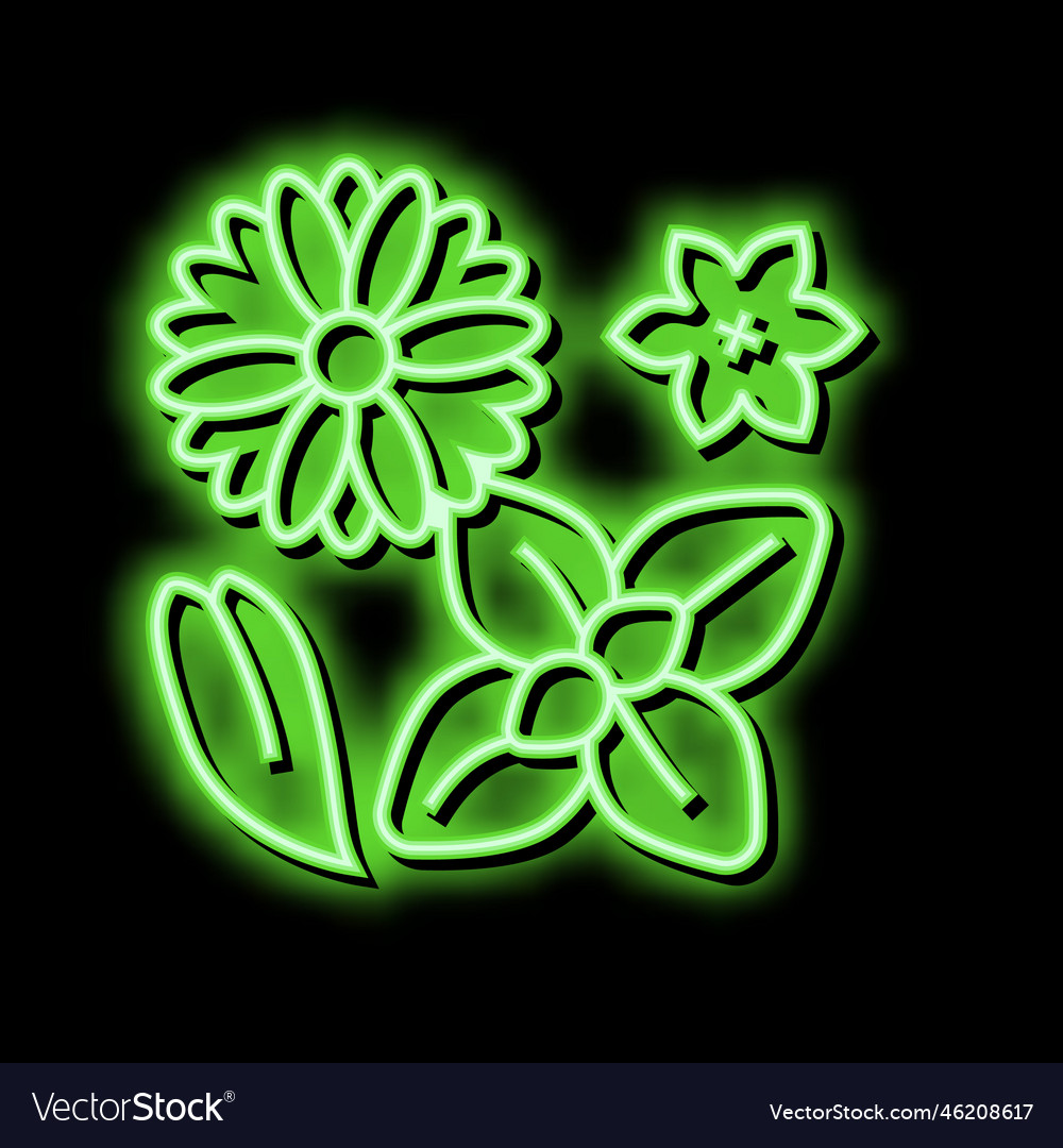 Flowers phytotherapy neon glow icon