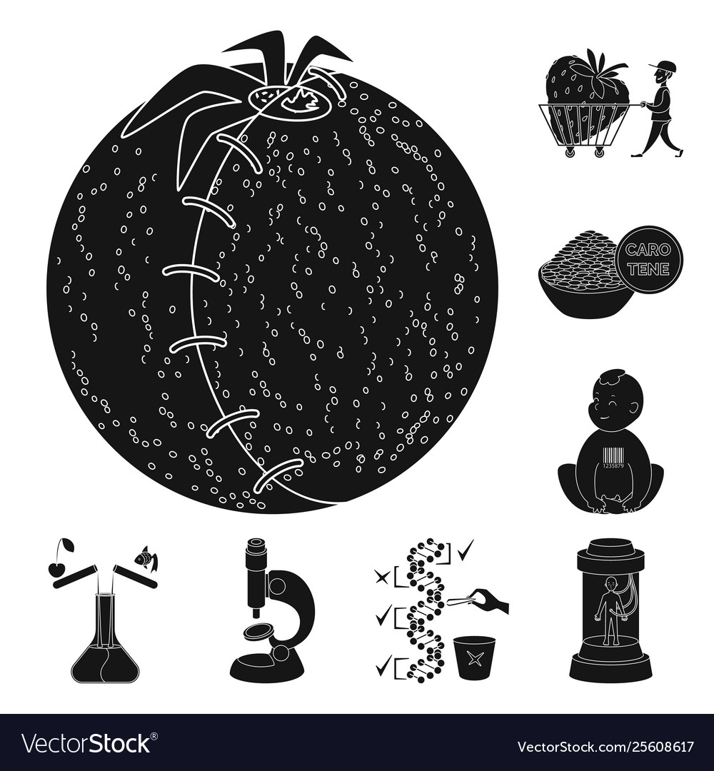 Isolated object quality and laboratory sign vector image Isolated object quality and laboratory sign