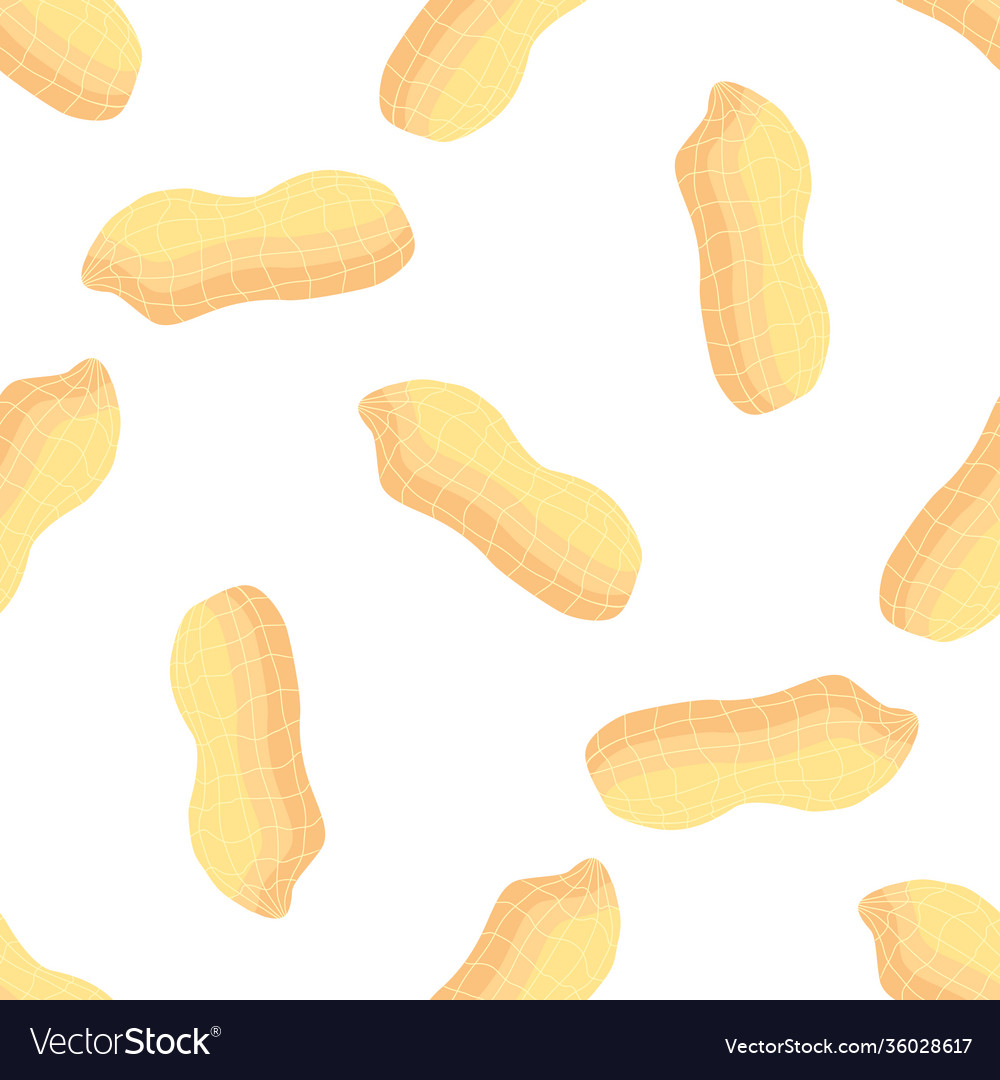 On theme big pattern identical types peanut vector image On theme big pattern identical types peanut