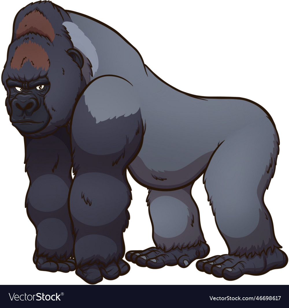 Silverback gorilla Royalty Free Vector Image - VectorStock