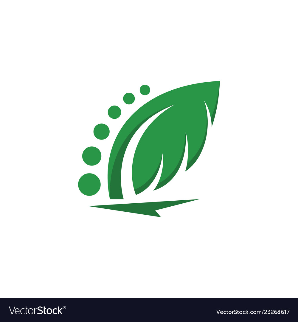 Tree leaf icon design template Vector Image Tree leaf icon design template