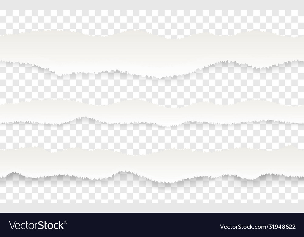 Torn paper edge realistic seamless pattern vector image Torn paper edge realistic seamless pattern
