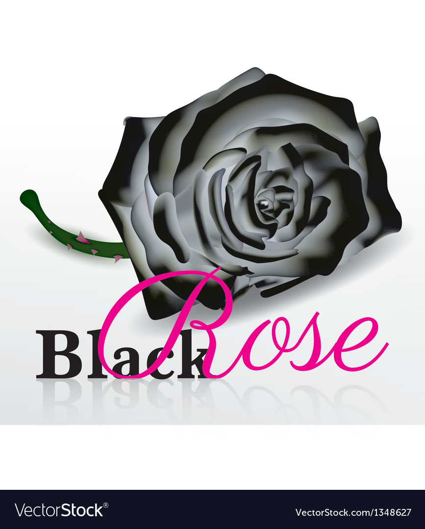 Black Rose Writing