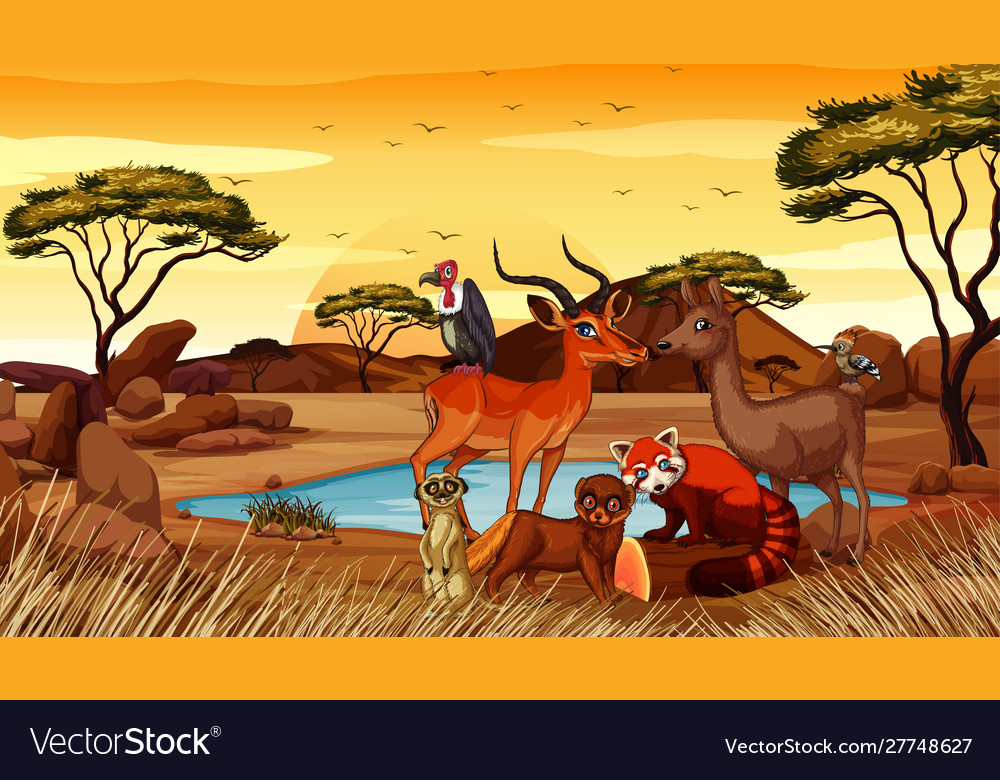 Scene with many animals in field Royalty Free Vector Image