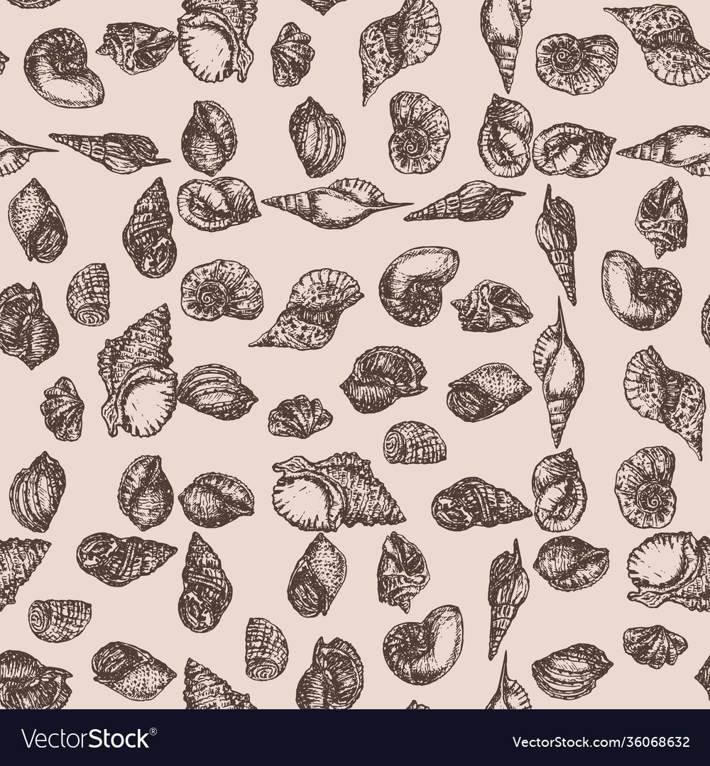 Seamless pattern sketches various seashells
