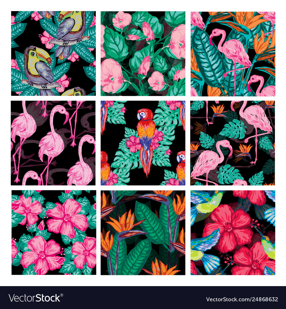 Seamless patterns set vector image Seamless patterns set