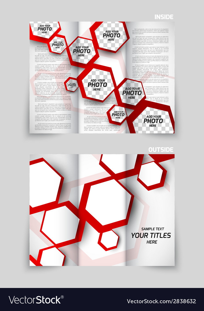 tri fold brochure template