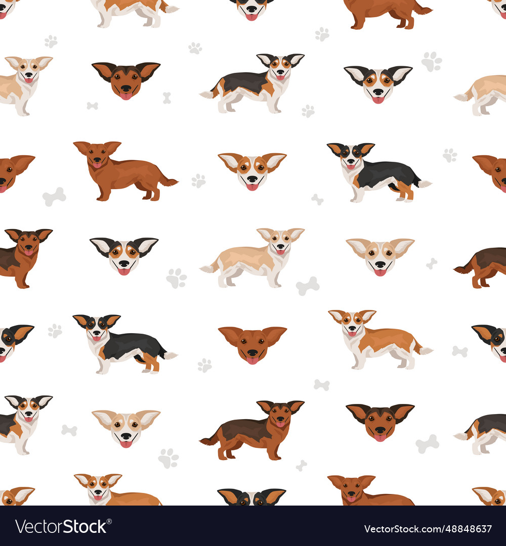 Dorgi seamless pattern welsh corgi dachshund mix Vector Image