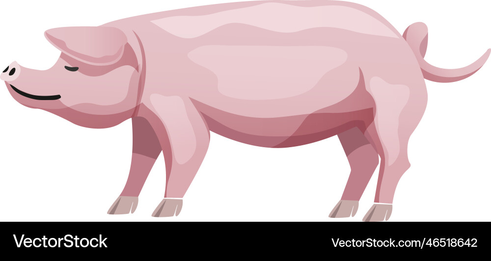 Flat pig Royalty Free Vector Image - VectorStock