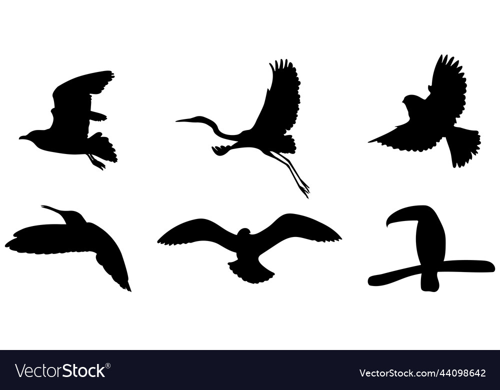 Set of silhouette of birds Royalty Free Vector Image