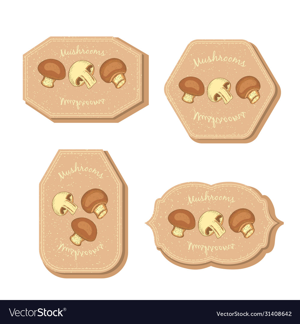 Set with four rectangular labels for mushrooms vector image Set with four rectangular labels for mushrooms