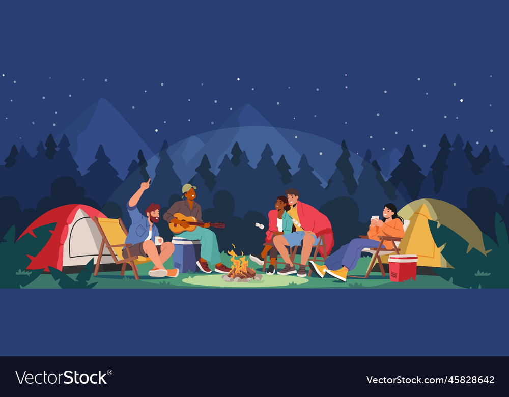 Young people spend time at night summer camp Vector Image