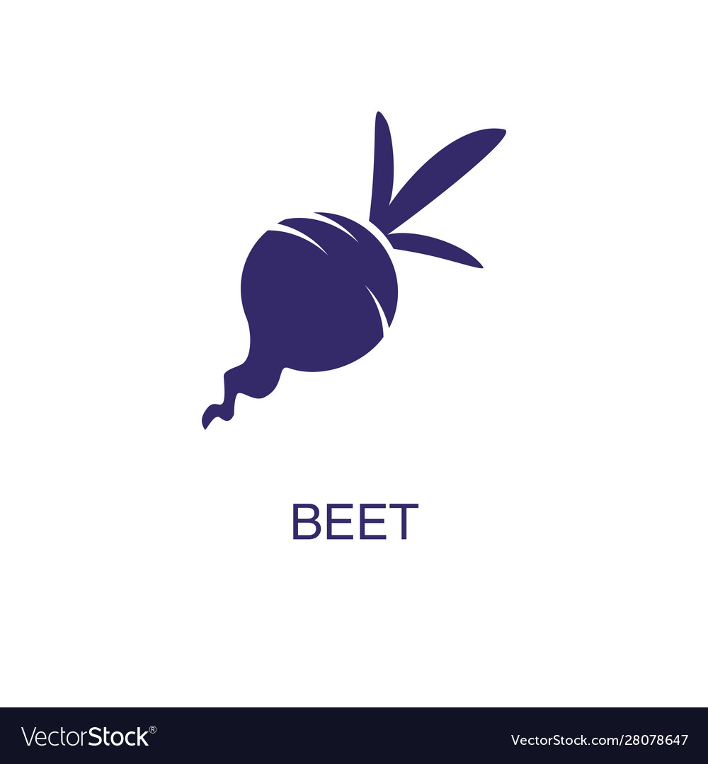 Beet element in flat simple style on white
