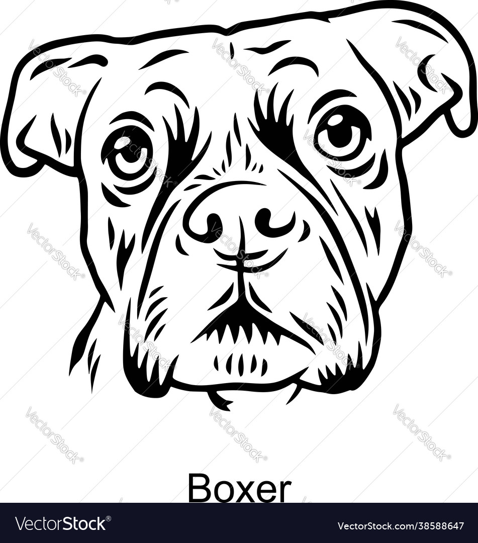 Boxer portrait dog in line style - pet Royalty Free Vector