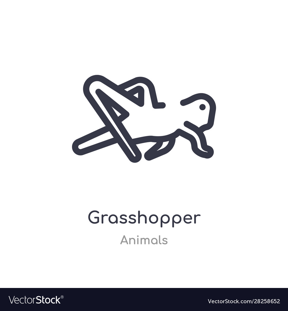 Grasshopper outline icon isolated line from