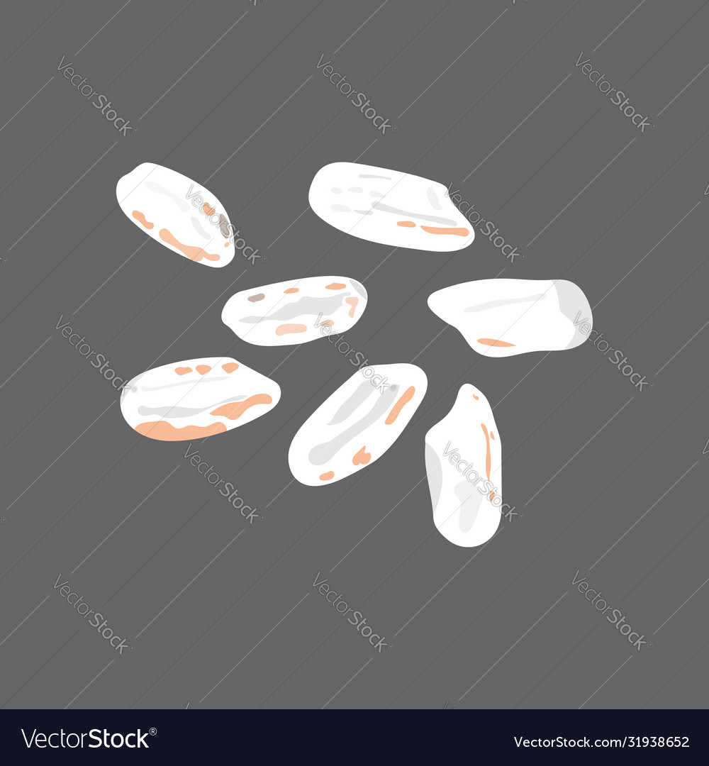 Rice grains isolated on dark background