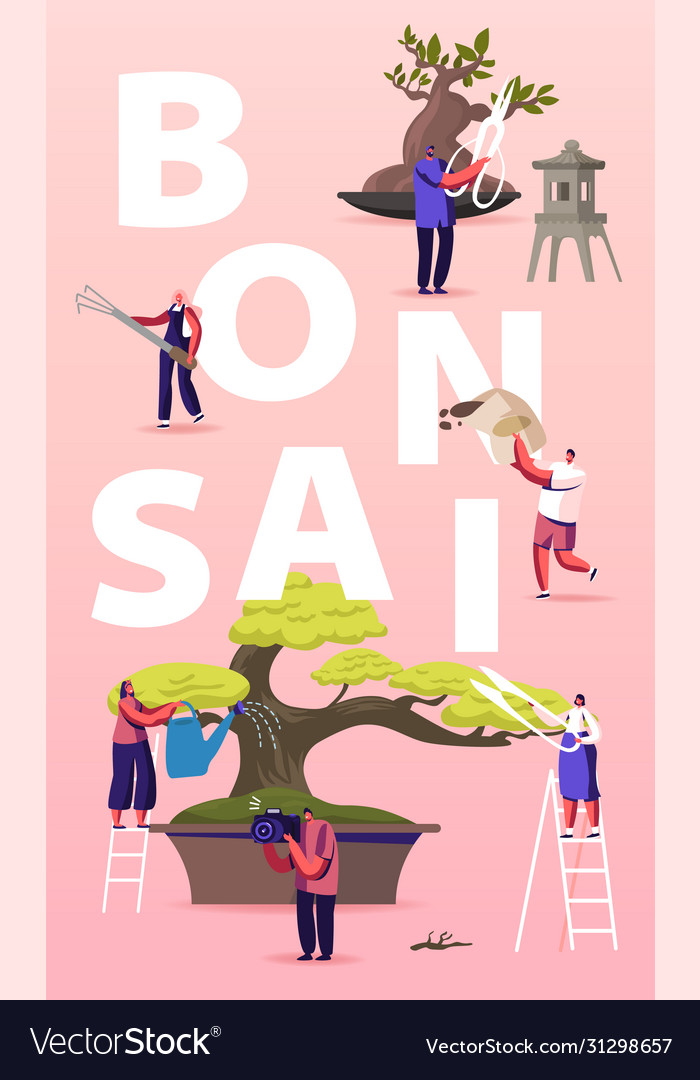 Bonsai growing concept people characters enjoying