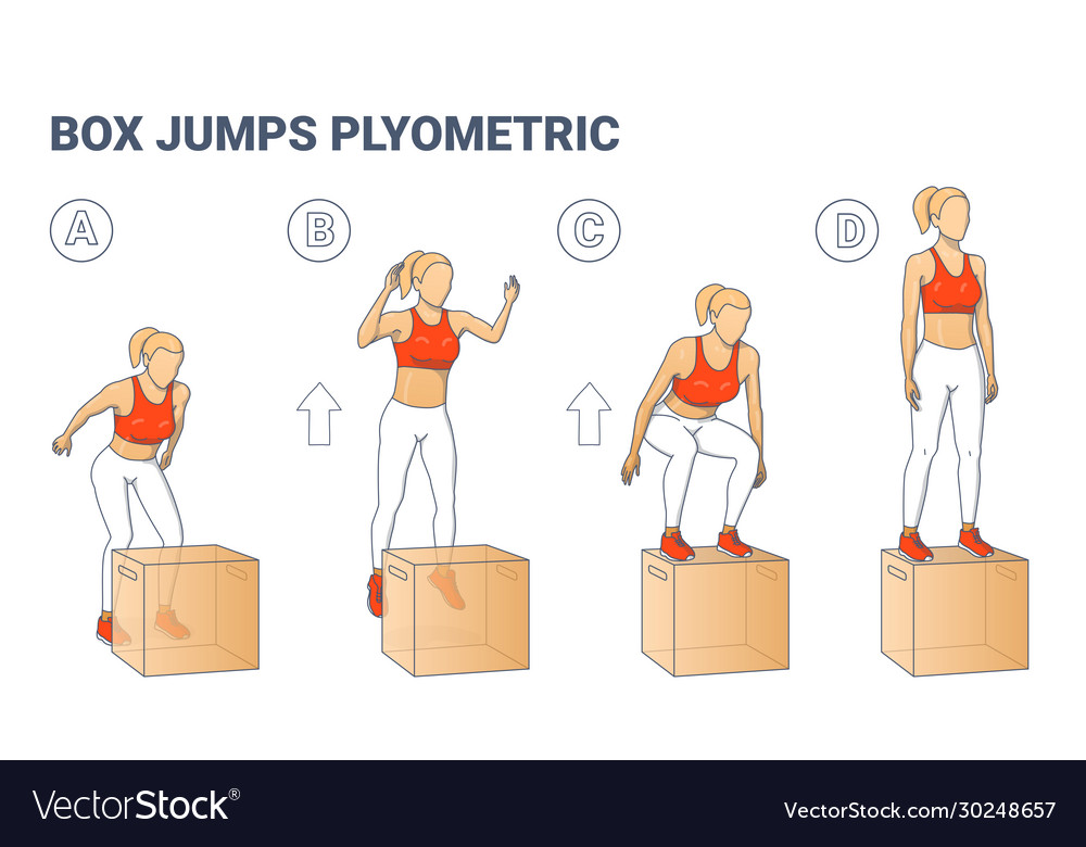Box jumps woman silhouettes colorful plyometric Vector Image