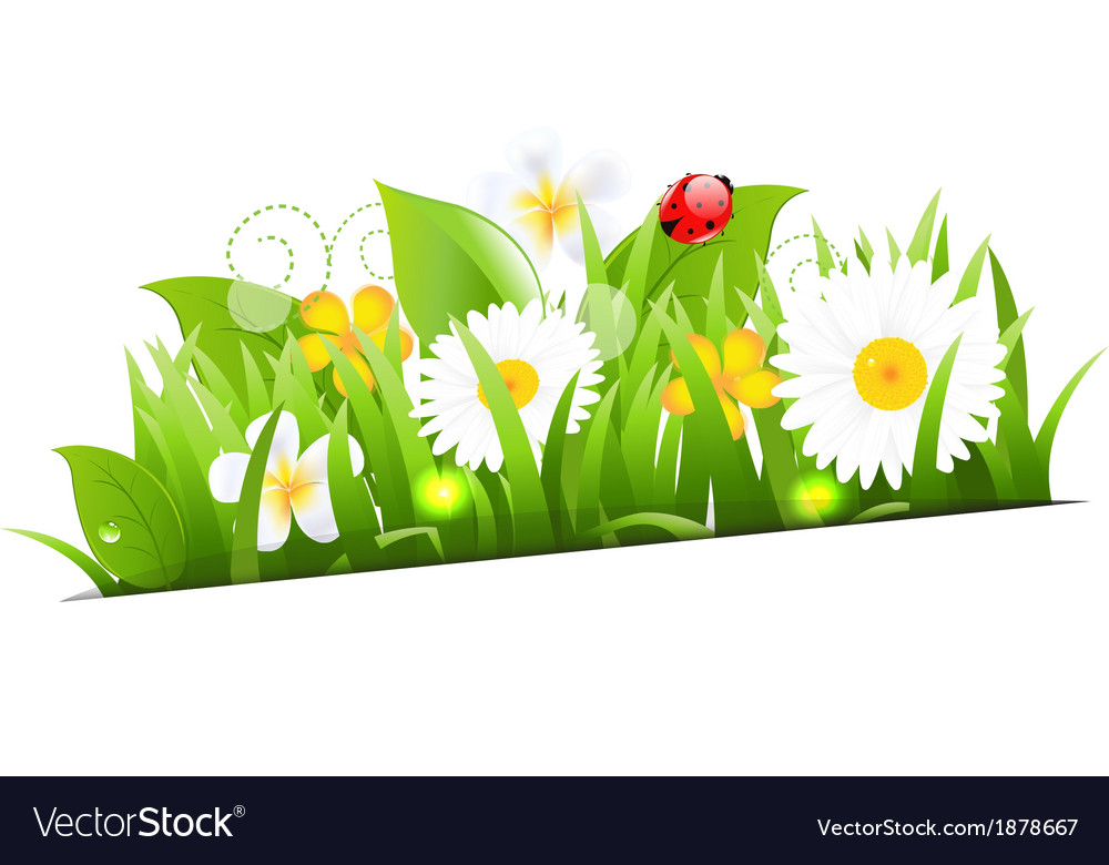 Bunch of flowers with grass and ladybug Royalty Free Vector