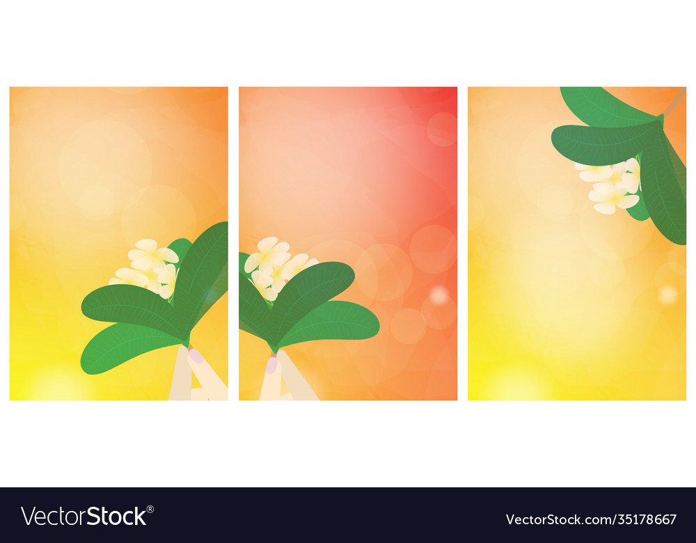 Plumeria Blumen auf der Hand