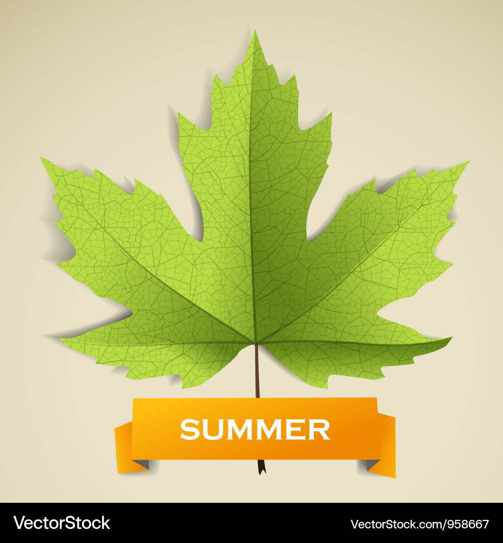 Summer Royalty Free Vector Image - VectorStock