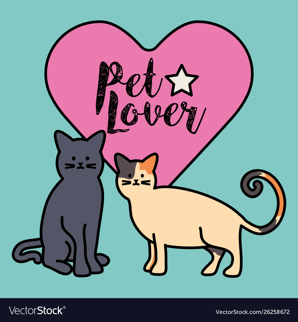Cute cats mascots adorable with heart
