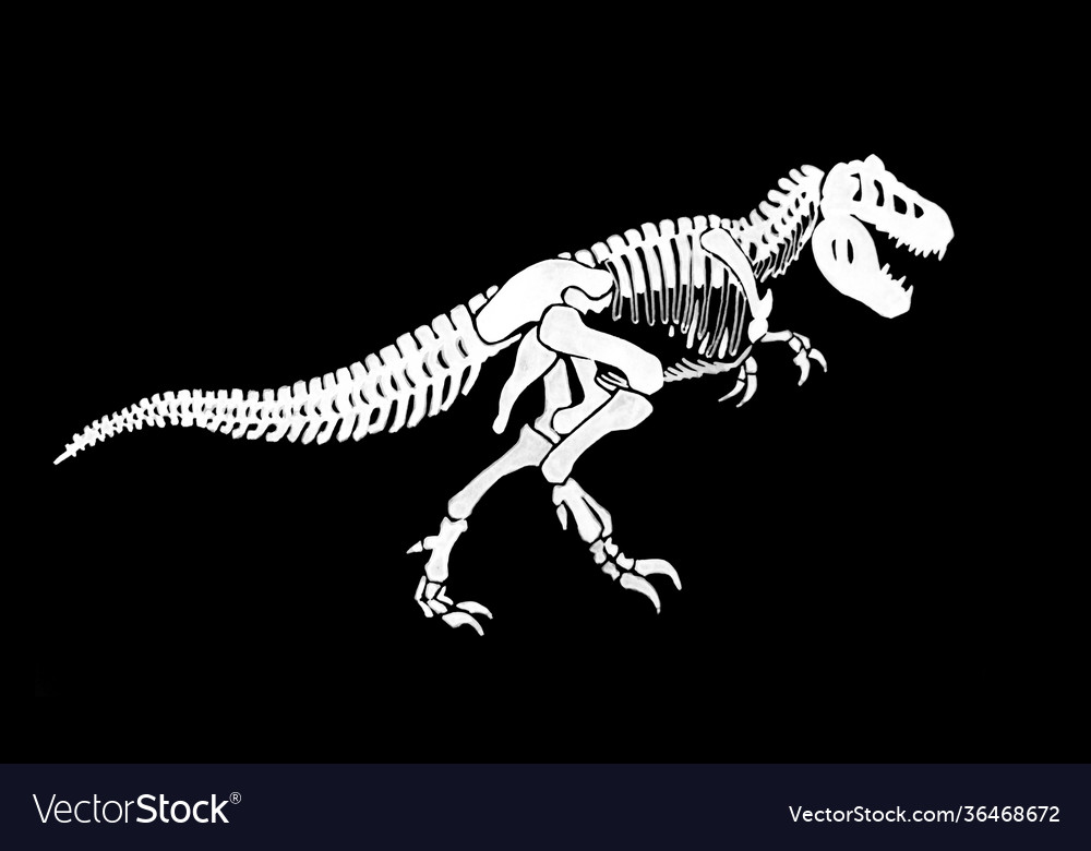 Graphical skeleton tyrannosaurus isolated