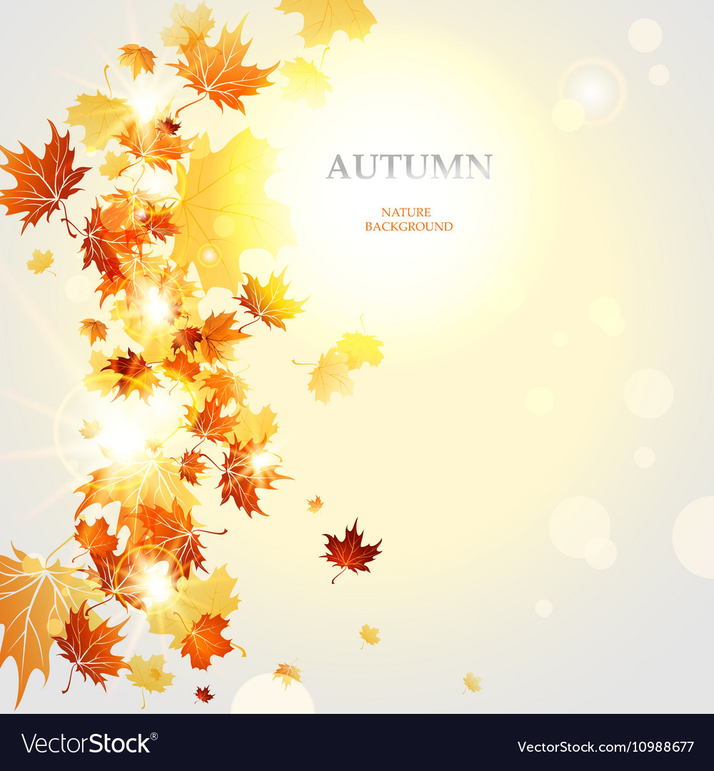 Autumnal background