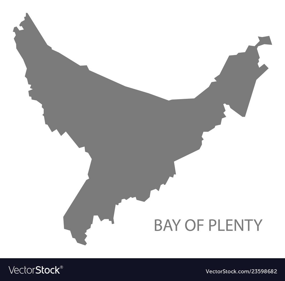 Bay of plenty new zealand map grey vector image Bay of plenty new zealand map grey