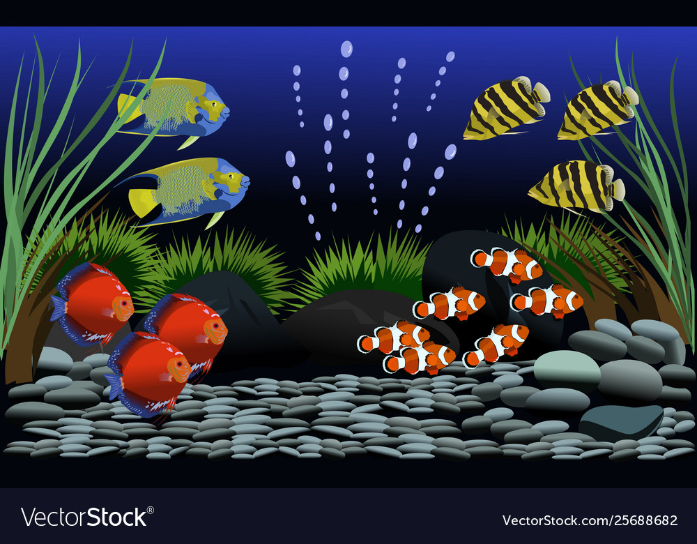 Fish in tank with grass background Royalty Free Vector Image