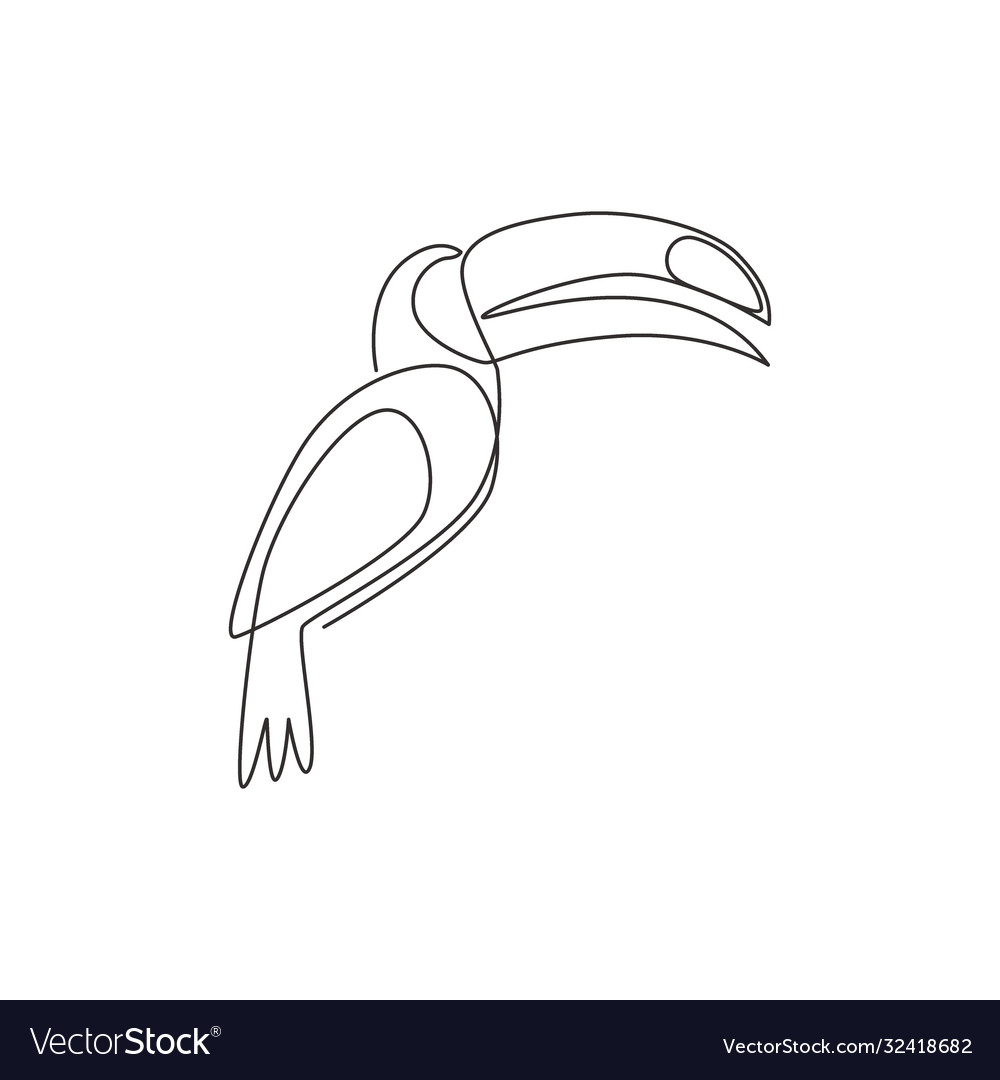 One continuous line drawing cute toucan bird Vector Image