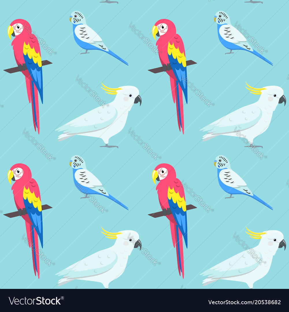 Seamless pattern with colorful parrots